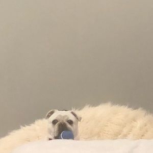 Meet your Posher, Eden